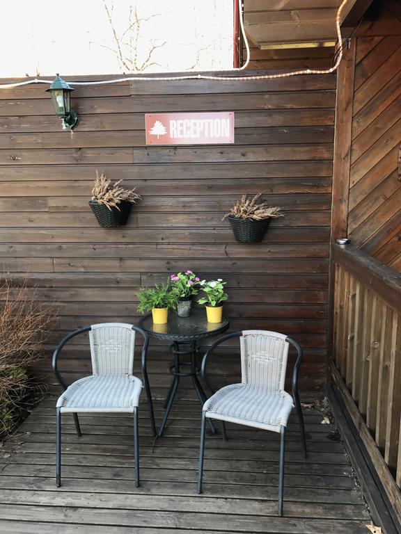 Blue Grove Guesthouse South Iceland Luaran gambar