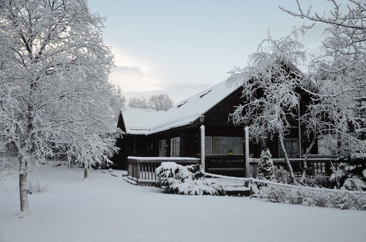 Blue Grove Guesthouse South Iceland Luaran gambar