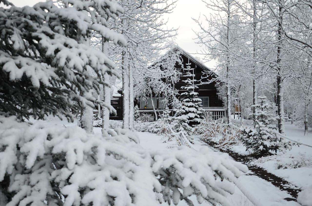 Blue Grove Guesthouse South Iceland Luaran gambar